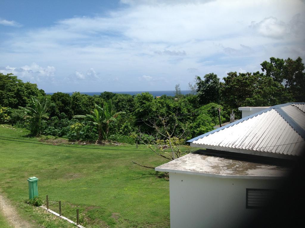 Chillax On Our Farm Vendégház Ocho Rios Kültér fotó